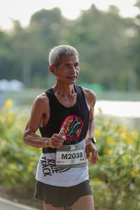 BIB: 
                            <button type="button" onclick="openModal(26556689)" class="btn btn-primary btn-sm float-right btn-popup" data-toggle="modal" data-target=".modal-high-quality">
                        <i class="fas fa-shopping-cart"></i> Add to Cart
                    </button>
                                            <button type="button" onclick="isThisMe(26556689, true)" class="btn btn-success btn-sm float-right btn-popup btn-isme hidden" data-toggle="tooltip" data-placement="bottom" title="นี่คือรูปของคุณใช่ไหม คลิกที่นี่เพื่อเอาเข้าอัลบั้ม">
                        <i class="fas fa-plus"></i> Add to album
                    </button>
                    <button type="button" onclick="isThisMe(26556689, false)" class="btn btn-warning btn-sm float-right btn-popup btn-isnotme hidden">
                        <i class="fas fa-ban"></i> Remove from album
                    </button>